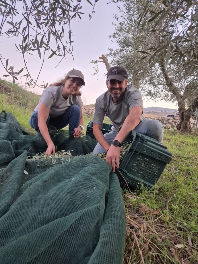 Harvest