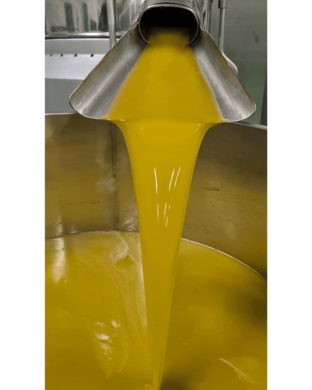 gif olive pouring.gif