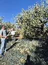 20251111_103723.webp